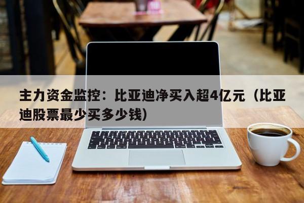 主力资金监控：比亚迪净买入超4亿元（比亚迪股票最少买多少钱）
