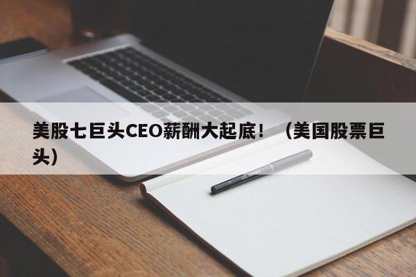 美股七巨头CEO薪酬大起底！（美国股票巨头）