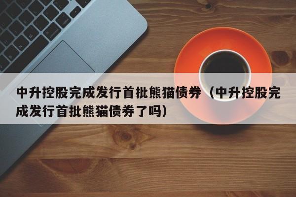 中升控股完成发行首批熊猫债券（中升控股完成发行首批熊猫债券了吗）