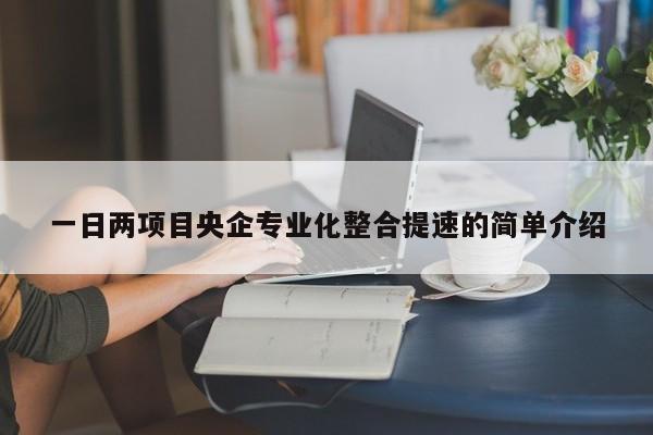 一日两项目央企专业化整合提速的简单介绍