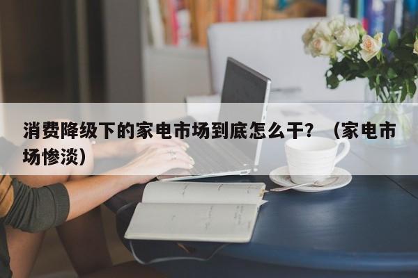 消费降级下的家电市场到底怎么干？（家电市场惨淡）