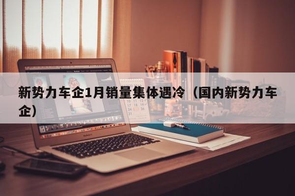 新势力车企1月销量集体遇冷（国内新势力车企）