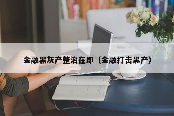 金融黑灰产整治在即（金融打击黑产）