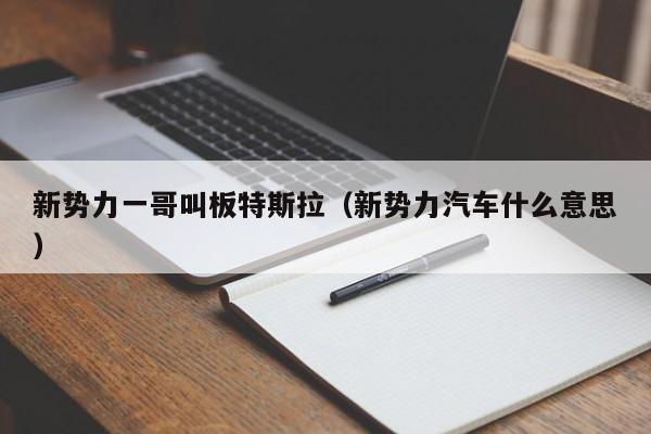 新势力一哥叫板特斯拉（新势力汽车什么意思）