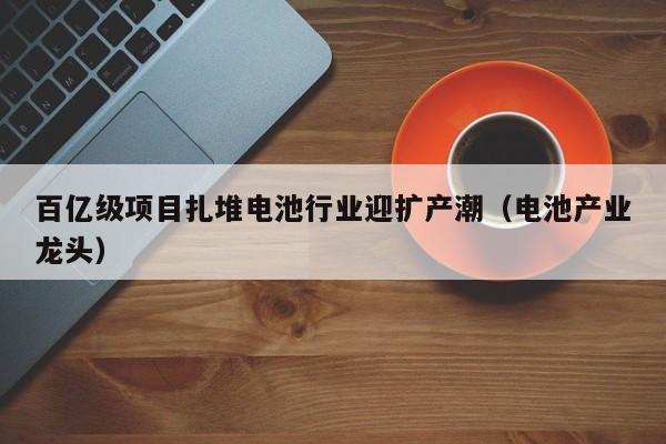 百亿级项目扎堆电池行业迎扩产潮（电池产业龙头）