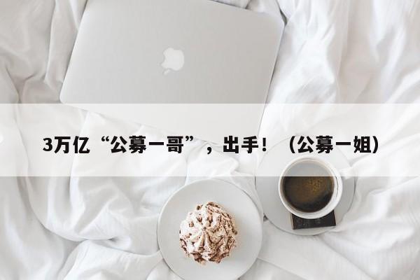 3万亿“公募一哥”，出手！（公募一姐）
