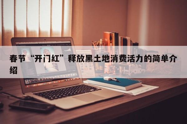 春节“开门红”释放黑土地消费活力的简单介绍