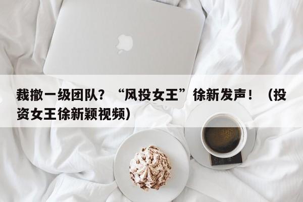 裁撤一级团队？“风投女王”徐新发声！（投资女王徐新颖视频）