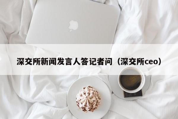 深交所新闻发言人答记者问（深交所ceo）