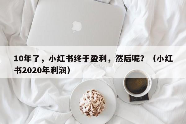10年了，小红书终于盈利，然后呢？（小红书2020年利润）
