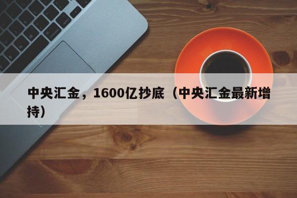 中央汇金，1600亿抄底（中央汇金最新增持）