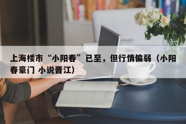 上海楼市“小阳春”已至，但行情偏弱（小阳春豪门 小说晋江）